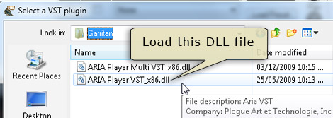 Find and load the ARIA Player VST .dll