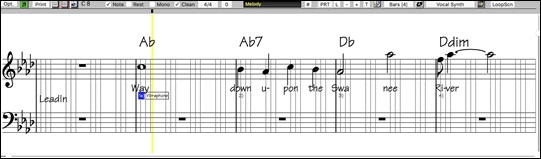 Editable Notation